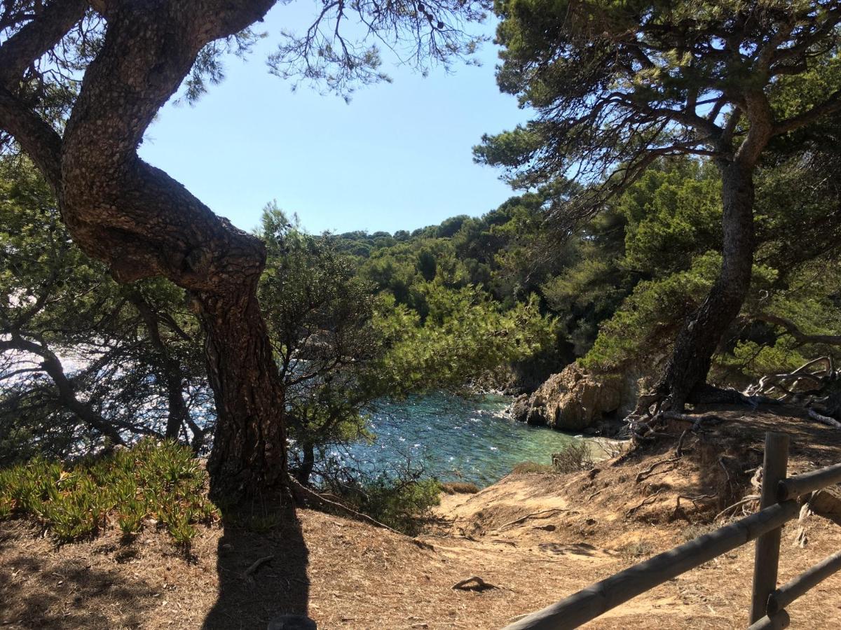 La Provence authentique à 30 minutes des plages Apartamento Collobrières Exterior foto